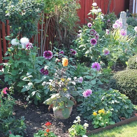 The Garden Room Westcott Westcott  Esterno foto