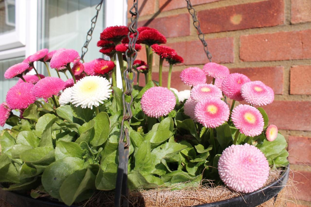 Apartment The Garden Westcott Westcott (Buckinghamshire)